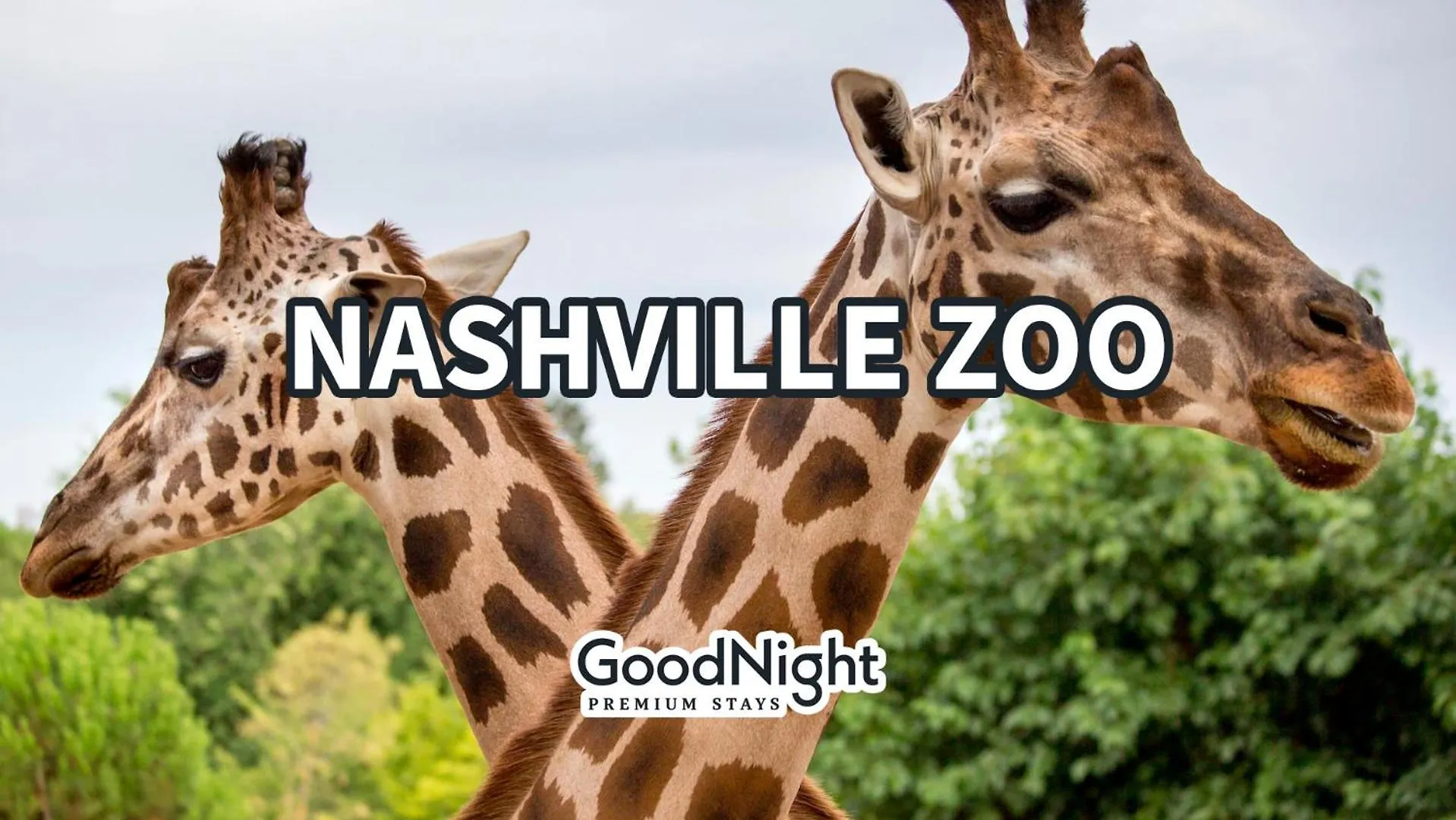 Lofts At 30Th - Modern Escape - Mins To Broadway Villa Nashville Holiday home